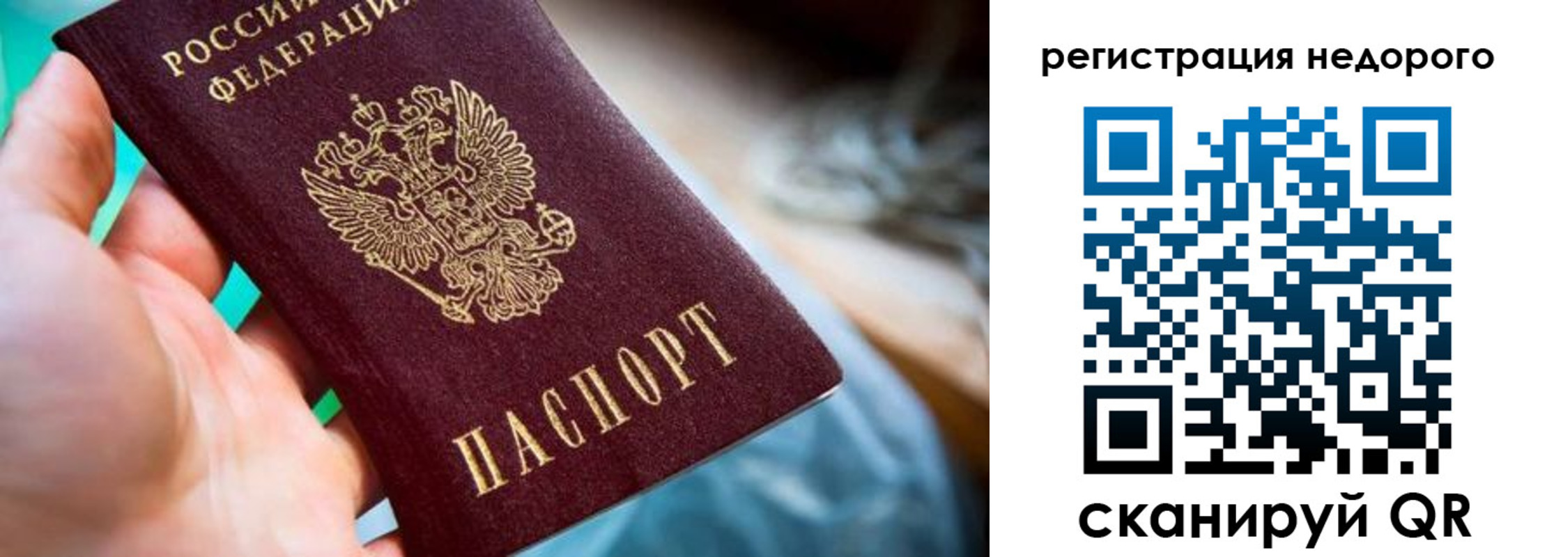 найти адрес прописки в Электрогорске